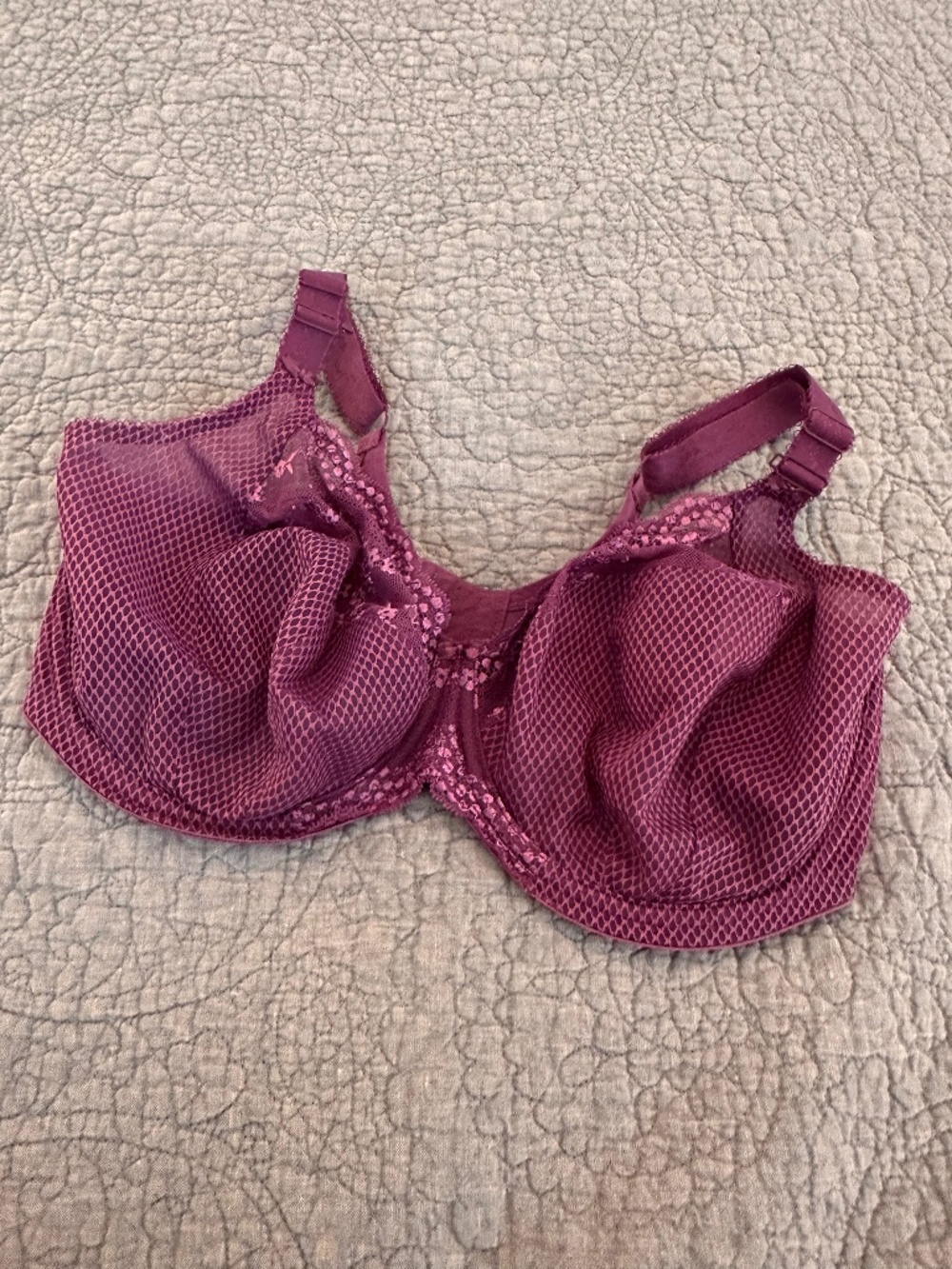 ELOMI  Charley Underwire Stretch Lace Plunge - Pansy - Size US38J